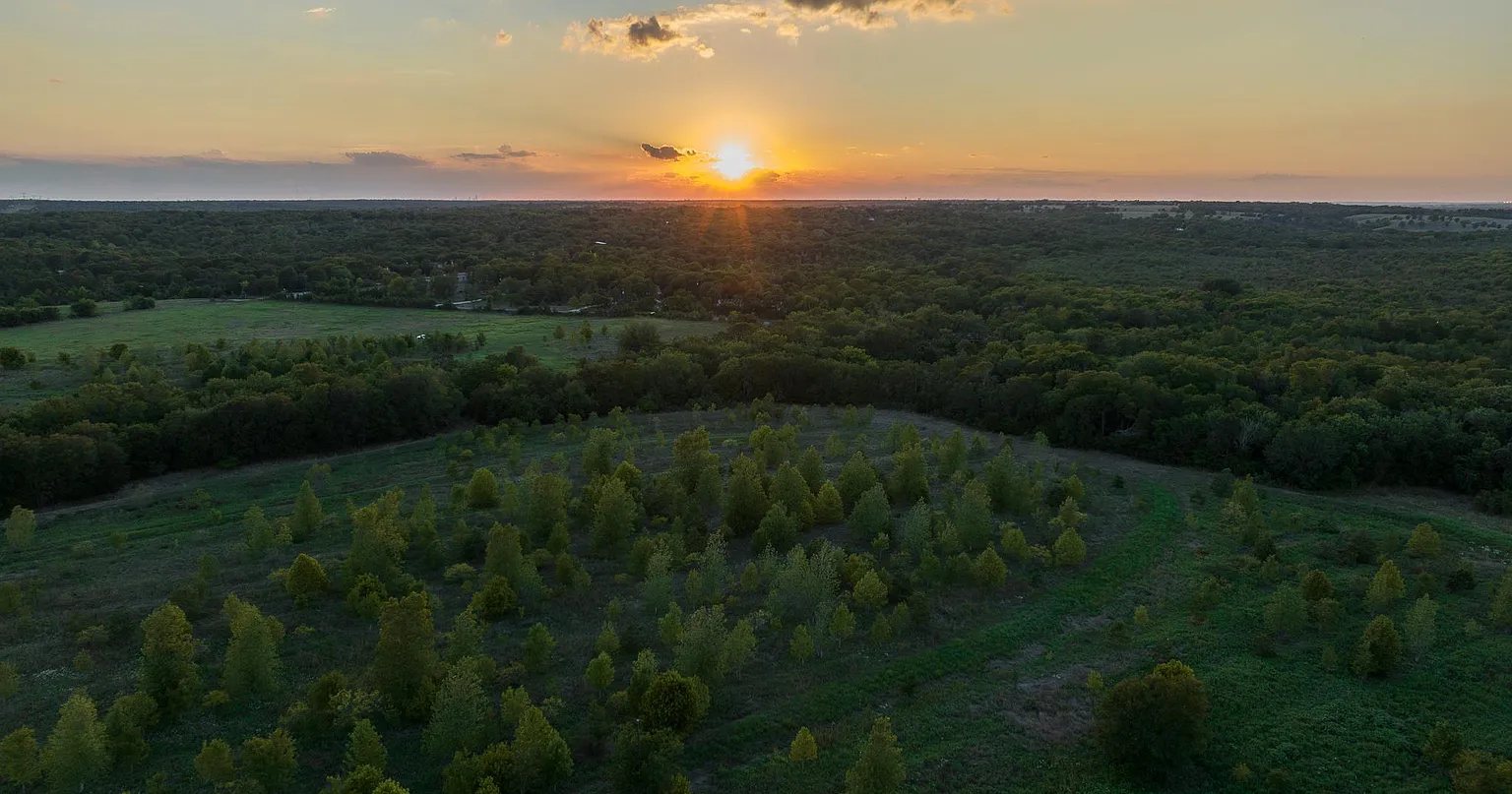 Aerial view over Double Creek Wildlife Ranch at sunset, restored bottomland and young trees stretching to the horizon